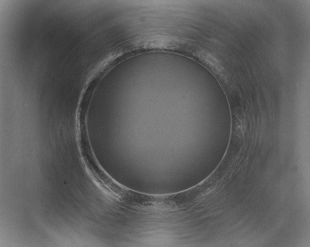 X0000071760678200607071236