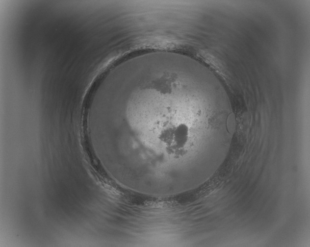 X0000071760679200607071236