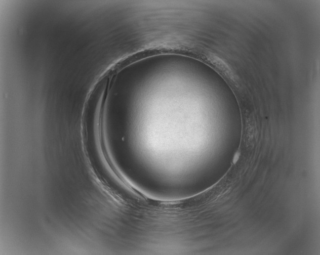 X0000071760680200607071236