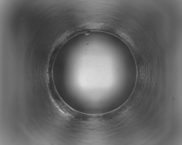 X0000071760682200607071236