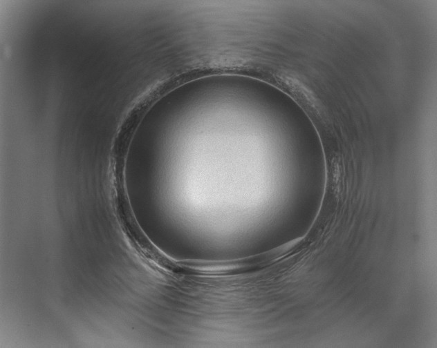 X0000071760684200607071236