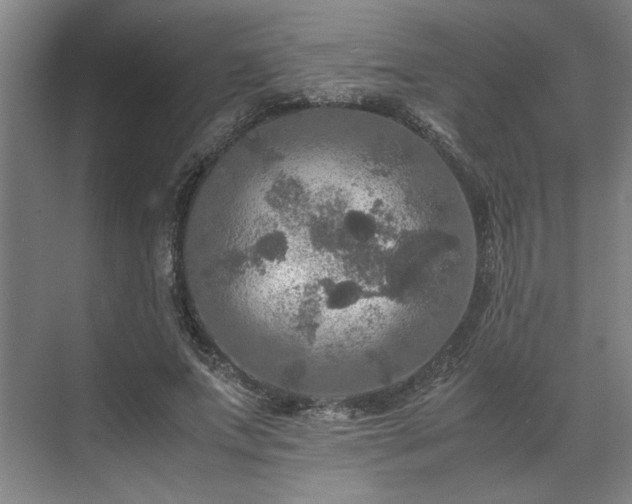 X0000071760687200607071236