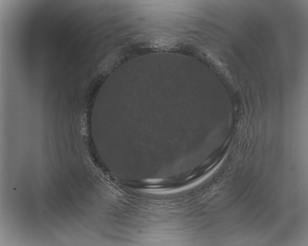 X0000071760689200607071236