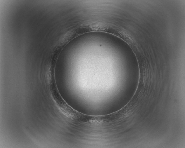 X0000071760690200607071236