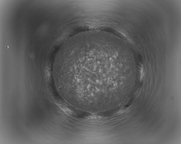 X0000071760691200607071236