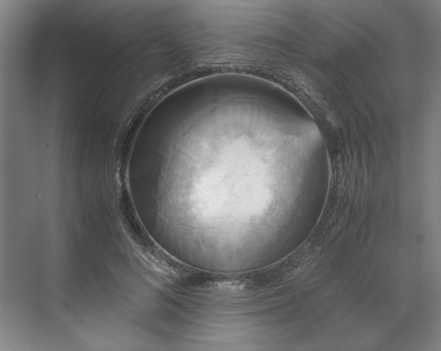 X0000071760692200607071236