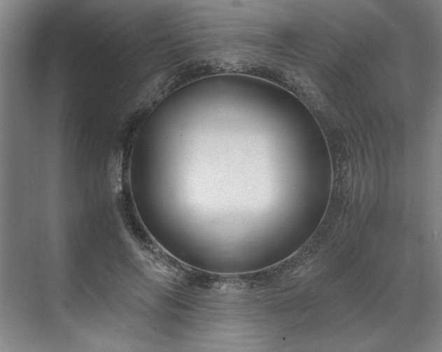 X0000071760694200607071236