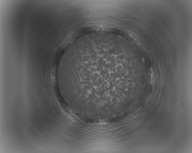 X0000071760695200607071236