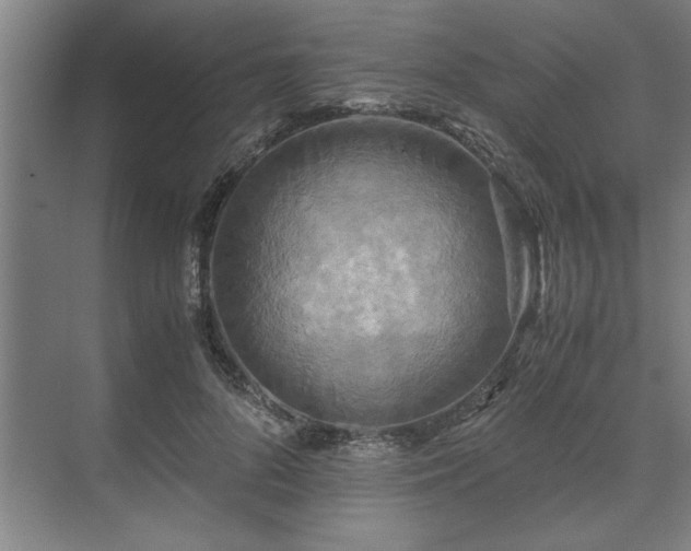 X0000071760696200607071236