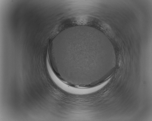 X0000071760697200607071236