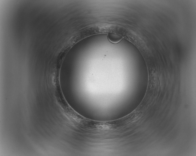 X0000071760698200607071236