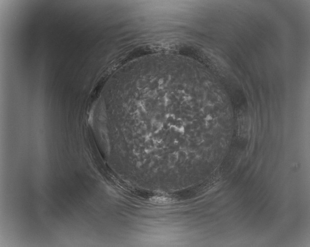 X0000071760699200607071236