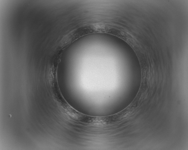 X0000071760702200607071236