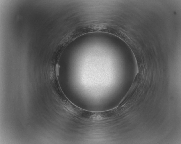 X0000071760704200607071236