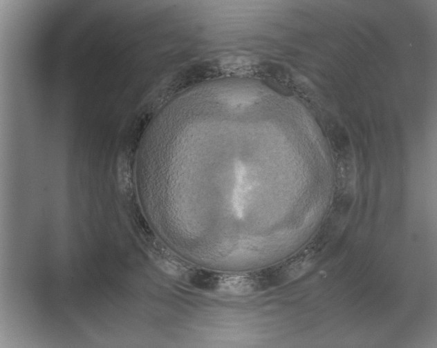 X0000071760705200607071236