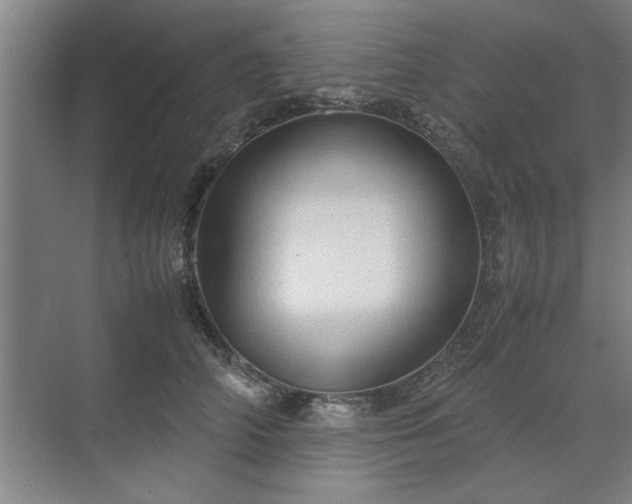 X0000071760706200607071236