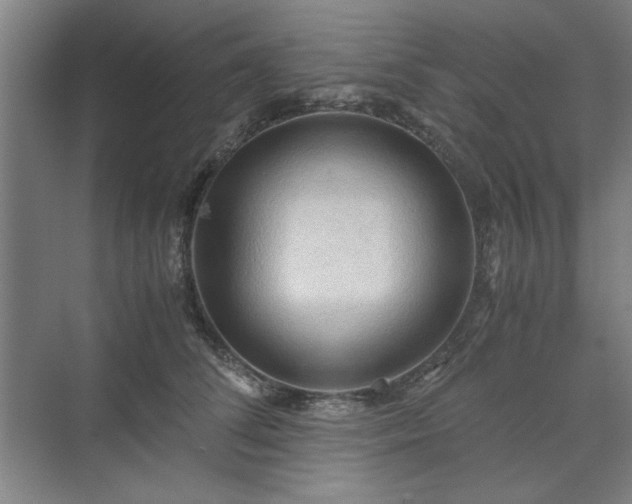 X0000071760708200607071236