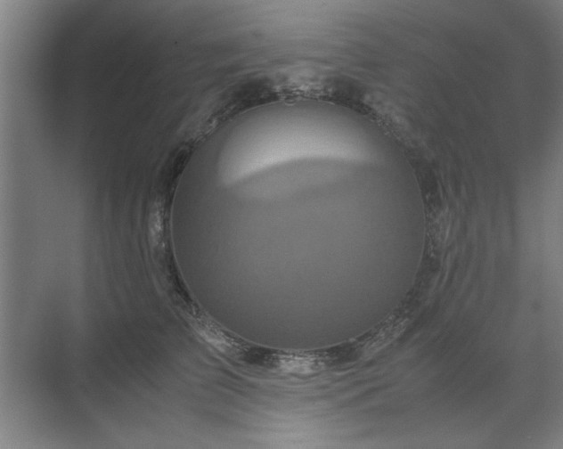 X0000071760709200607071236