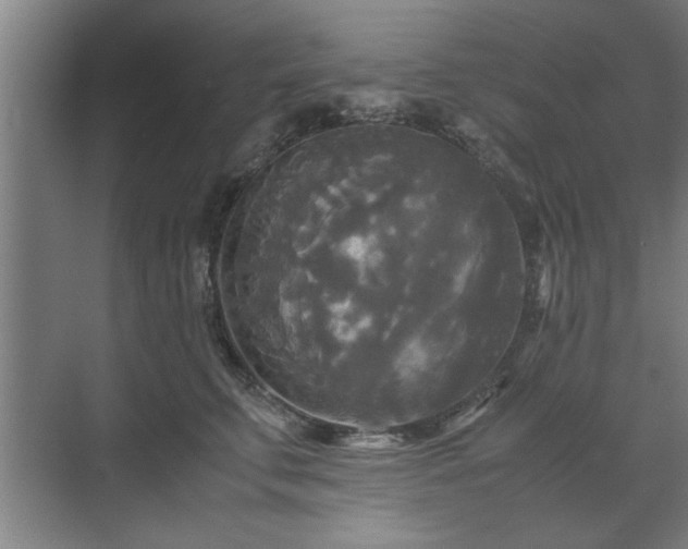 X0000071760711200607071236