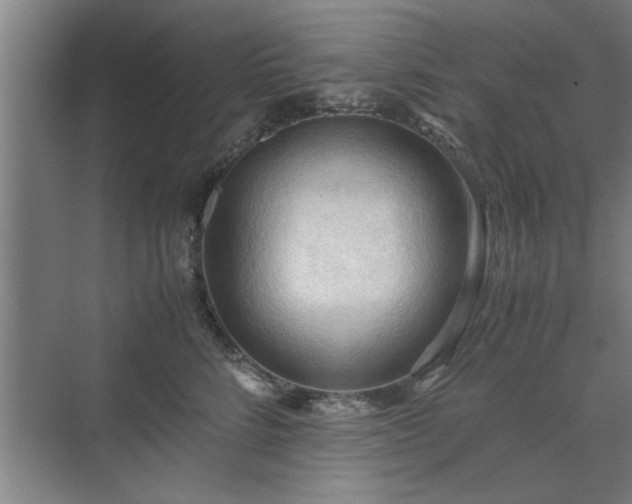 X0000071760712200607071236