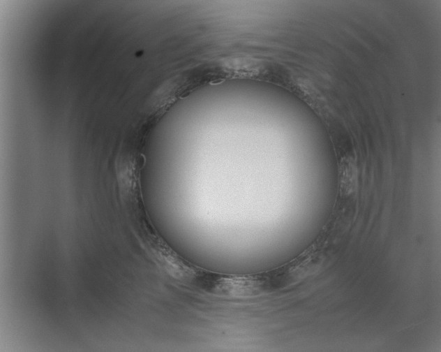 X0000071760713200607071236