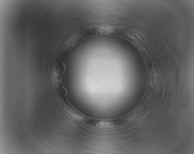 X0000071760714200607071236