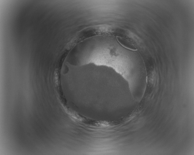 X0000071760715200607071236