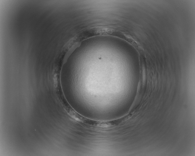 X0000071760716200607071236