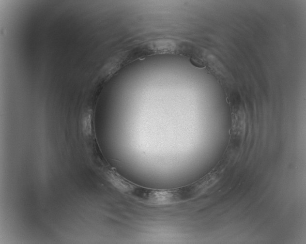 X0000071760717200607071236