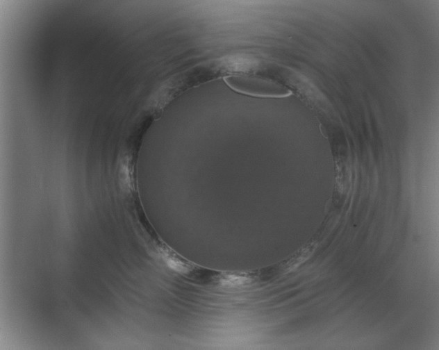 X0000071760718200607071236