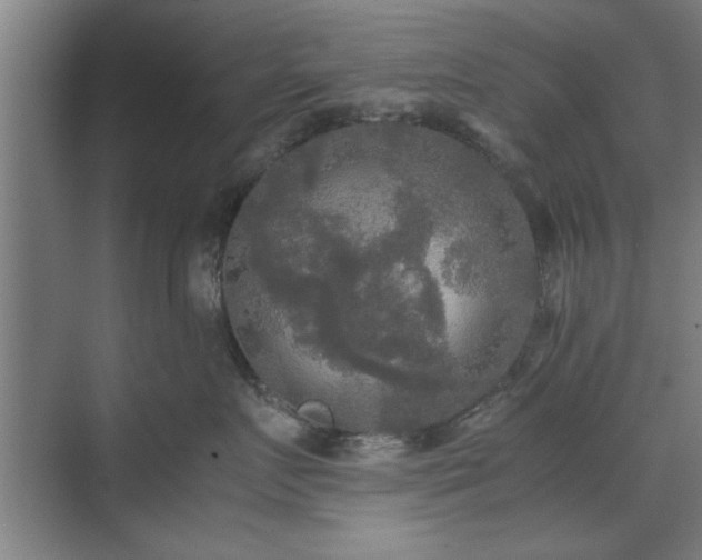 X0000071760719200607071236