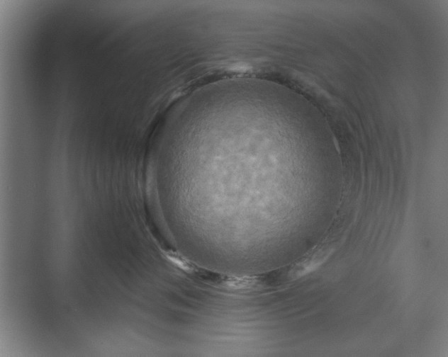 X0000071760720200607071236