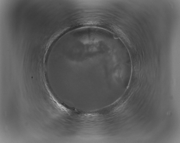 X0000071760721200607071235