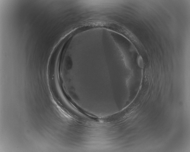 X0000071760722200607071235