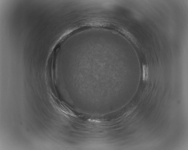 X0000071760723200607071235