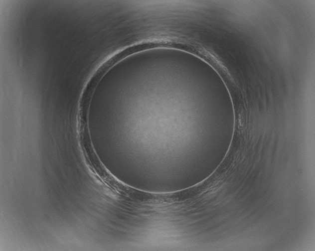 X0000071760724200607071235