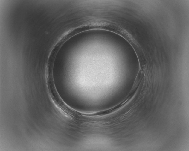 X0000071760726200607071235