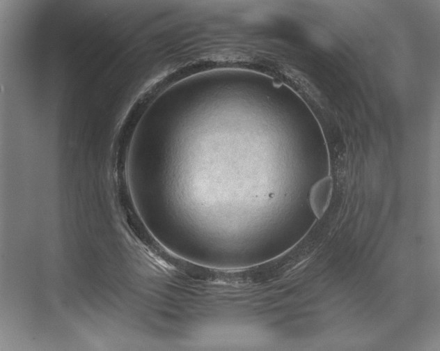 X0000071760727200607071235