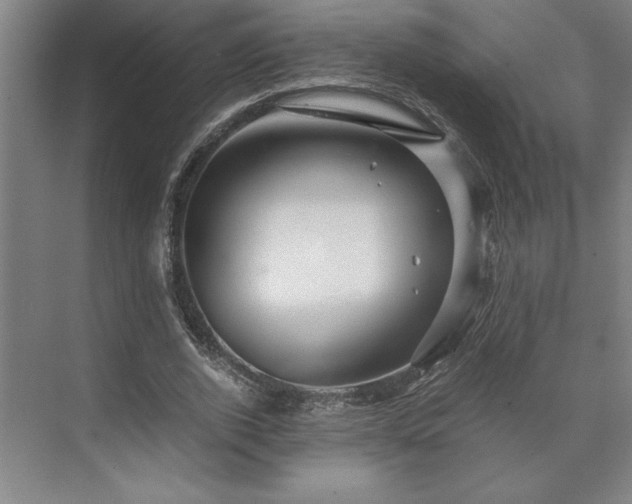 X0000071760728200607071235