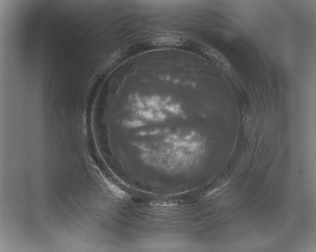 X0000071760729200607071235