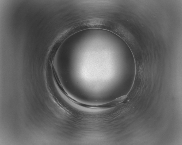 X0000071760732200607071235