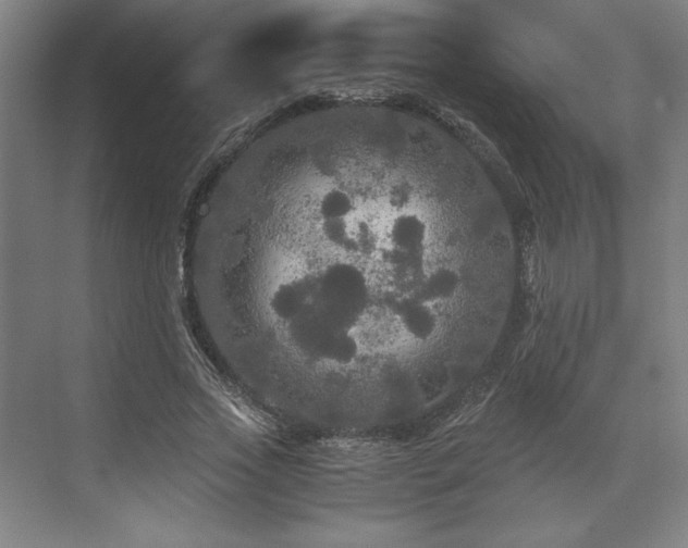 X0000071760733200607071235