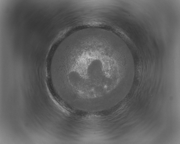 X0000071760734200607071235