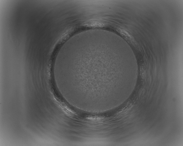 X0000071760735200607071235