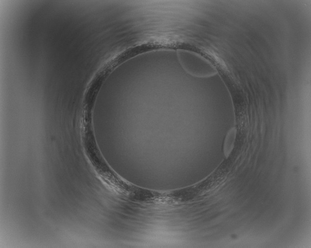 X0000071760736200607071235