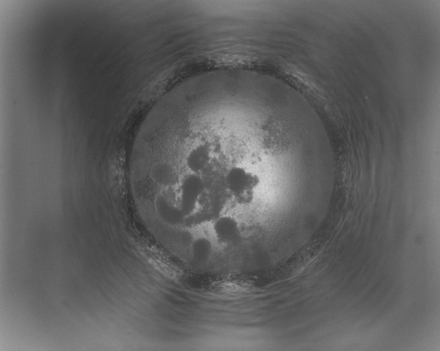 X0000071760737200607071235