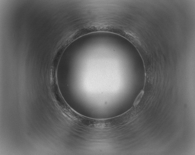 X0000071760740200607071235