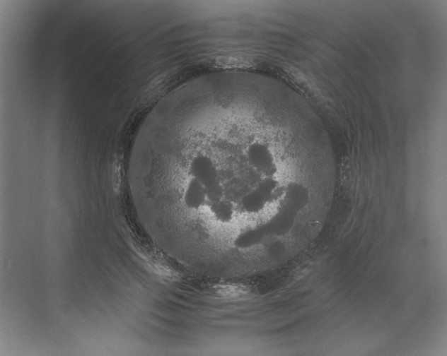 X0000071760741200607071235