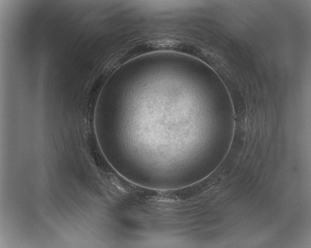 X0000071760743200607071235