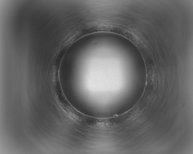 X0000071760744200607071235